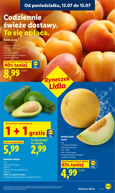 Lidl - gazetka promocyjna Oferta od poniedziałku od poniedziałku 13.07 do środy 15.07 - strona 45
