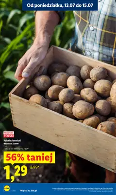 Lidl - gazetka promocyjna Oferta od poniedziałku od poniedziałku 13.07 do środy 15.07 - strona 10