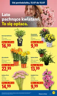 Lidl - gazetka promocyjna Oferta od poniedziałku od poniedziałku 13.07 do środy 15.07 - strona 87