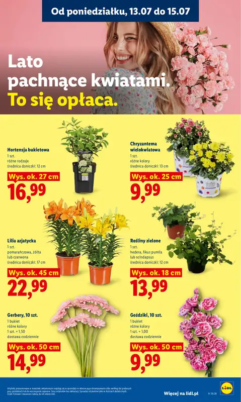 Lidl - gazetka promocyjna Oferta od poniedziałku od poniedziałku 13.07 do środy 15.07 - strona 87