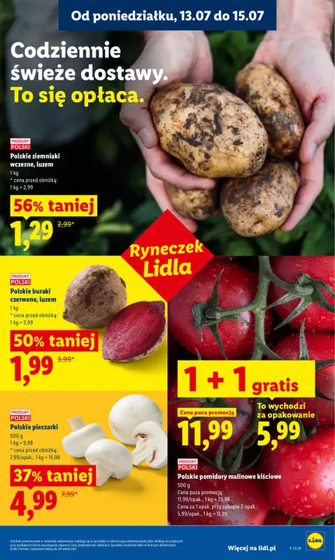 Lidl - gazetka promocyjna Oferta od poniedziałku od poniedziałku 13.07 do środy 15.07 - strona 43