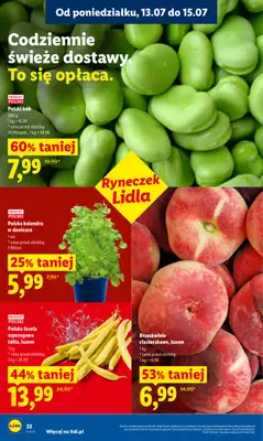 Lidl - gazetka promocyjna Oferta od poniedziałku od poniedziałku 13.07 do środy 15.07 - strona 44