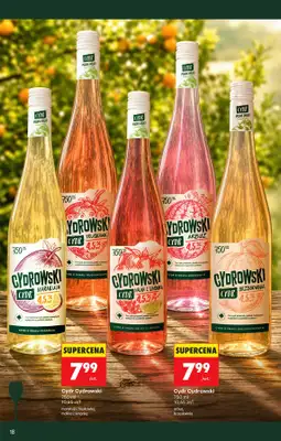 Biedronka - gazetka promocyjna Czas na Toast! od poniedziałku 13.07 do soboty 25.07 - strona 18