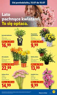 Lidl - gazetka promocyjna Oferta od poniedziałku od poniedziałku 13.07 do środy 15.07 - strona 87