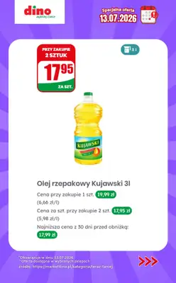 Dino - gazetka promocyjna Specjalna oferta na 13.07.2026 - promocje spoza gazetki od poniedziałku 13.07 do poniedziałku 13.07 - strona 7