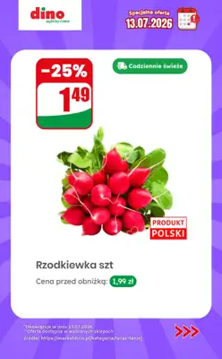 Dino - gazetka promocyjna Specjalna oferta na 13.07.2026 - promocje spoza gazetki od poniedziałku 13.07 do poniedziałku 13.07 - strona 2