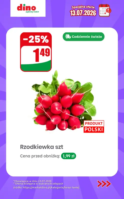 Dino - gazetka promocyjna Specjalna oferta na 13.07.2026 - promocje spoza gazetki od poniedziałku 13.07 do poniedziałku 13.07 - strona 2