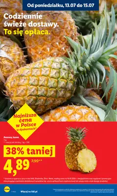 Lidl - gazetka promocyjna Oferta od poniedziałku od poniedziałku 13.07 do środy 15.07 - strona 10