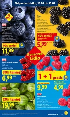 Lidl - gazetka promocyjna Oferta od poniedziałku od poniedziałku 13.07 do środy 15.07 - strona 41