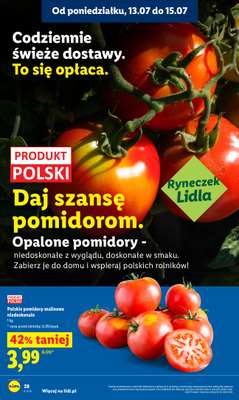 Lidl - gazetka promocyjna Oferta od poniedziałku od poniedziałku 13.07 do środy 15.07 - strona 42