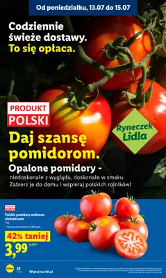 Lidl - gazetka promocyjna Oferta od poniedziałku od poniedziałku 13.07 do środy 15.07 - strona 42
