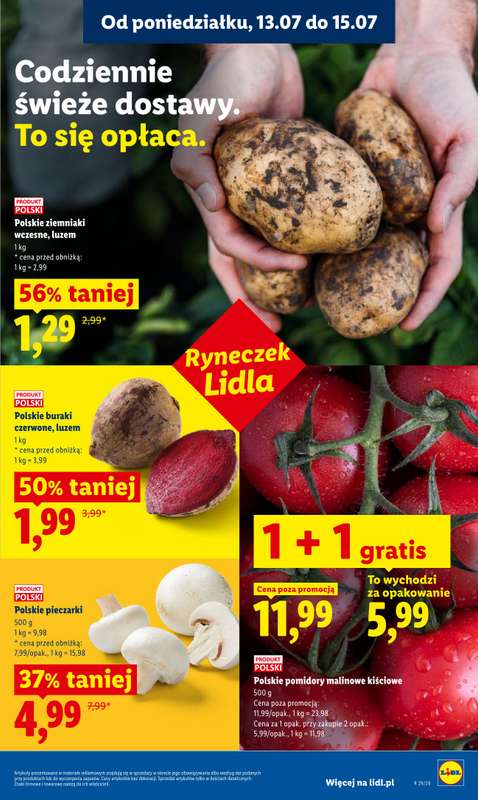Lidl - gazetka promocyjna Oferta od poniedziałku od poniedziałku 13.07 do środy 15.07 - strona 43