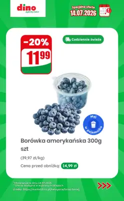 Dino - gazetka promocyjna Specjalna oferta na 14.07.2026 - promocje spoza gazetki od wtorku 14.07 do wtorku 14.07 - strona 4