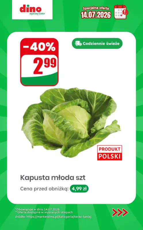Dino - gazetka promocyjna Specjalna oferta na 14.07.2026 - promocje spoza gazetki od wtorku 14.07 do wtorku 14.07 - strona 11