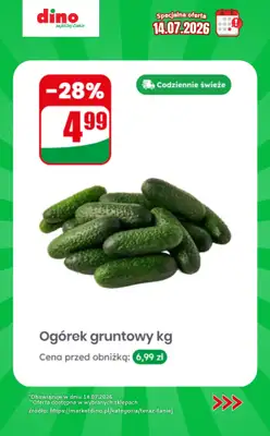 Dino - gazetka promocyjna Specjalna oferta na 14.07.2026 - promocje spoza gazetki od wtorku 14.07 do wtorku 14.07 - strona 9