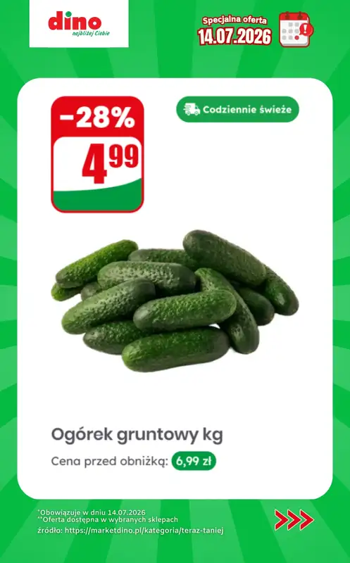Dino - gazetka promocyjna Specjalna oferta na 14.07.2026 - promocje spoza gazetki od wtorku 14.07 do wtorku 14.07 - strona 9