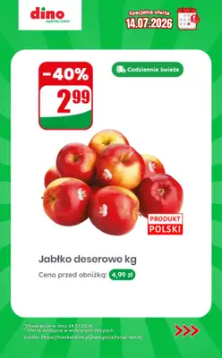 Dino - gazetka promocyjna Specjalna oferta na 14.07.2026 - promocje spoza gazetki od wtorku 14.07 do wtorku 14.07 - strona 2