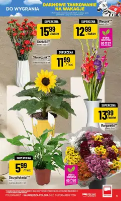 POLOmarket - gazetka promocyjna Gazetka od środy 15.07 do wtorku 21.07 - strona 15