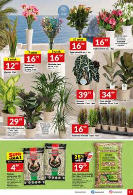 Twój Market - gazetka promocyjna Gazetka od środy 15.07 do wtorku 21.07 - strona 17