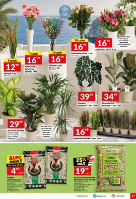 Twój Market - gazetka promocyjna Gazetka od środy 15.07 do wtorku 21.07 - strona 17