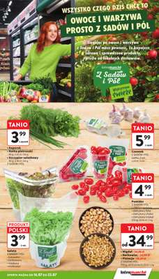 Intermarche - gazetka promocyjna Gazetka od czwartku 16.07 do środy 22.07 - strona 17
