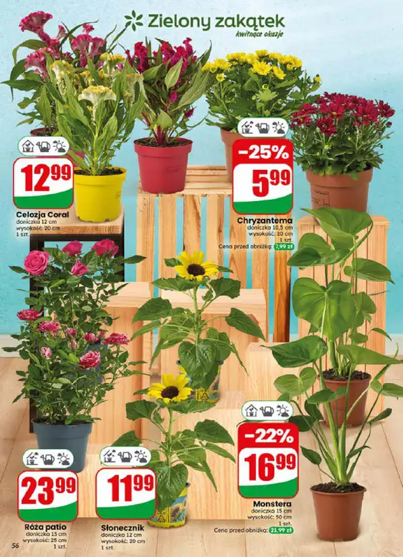 Dino - gazetka promocyjna Gazetka 29 / 2026 od środy 15.07 do wtorku 21.07 - strona 56