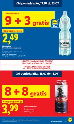Lidl - gazetka promocyjna Oferta od poniedziałku od poniedziałku 13.07 do środy 15.07 - strona 19
