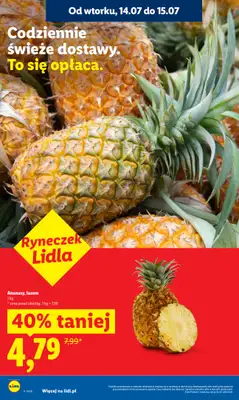 Lidl - gazetka promocyjna Oferta od poniedziałku od poniedziałku 13.07 do środy 15.07 - strona 10