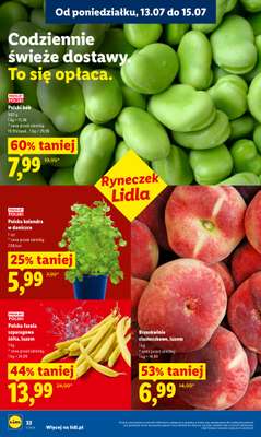 Lidl - gazetka promocyjna Oferta od poniedziałku od poniedziałku 13.07 do środy 15.07 - strona 44