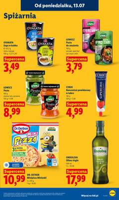Lidl - gazetka promocyjna Oferta od poniedziałku od poniedziałku 13.07 do środy 15.07 - strona 89