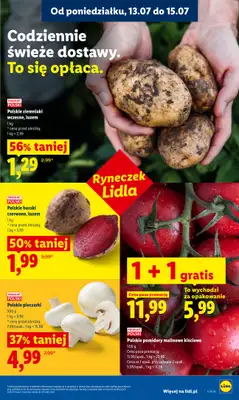 Lidl - gazetka promocyjna Oferta od poniedziałku od poniedziałku 13.07 do środy 15.07 - strona 43