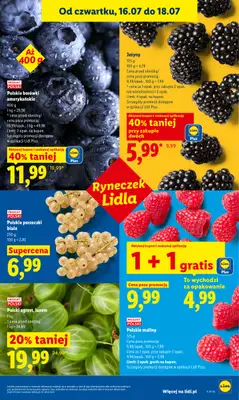 Lidl - gazetka promocyjna Oferta od czwartku od czwartku 16.07 do soboty 18.07 - strona 45