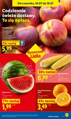 Lidl - gazetka promocyjna Oferta od czwartku od czwartku 16.07 do soboty 18.07 - strona 47