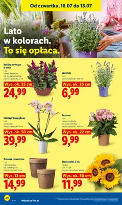 Lidl - gazetka promocyjna Oferta od czwartku od czwartku 16.07 do soboty 18.07 - strona 94