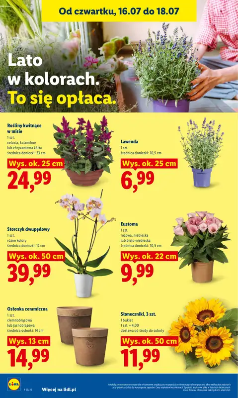 Lidl - gazetka promocyjna Oferta od czwartku od czwartku 16.07 do soboty 18.07 - strona 94