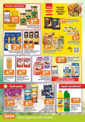 Gama - gazetka promocyjna Gazetka od czwartku 16.07 do wtorku 28.07 - strona 8