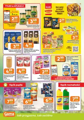 Gama - gazetka promocyjna Gazetka od czwartku 16.07 do wtorku 28.07 - strona 8