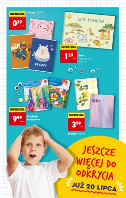 Biedronka - gazetka promocyjna Od czwartku, Z ladą tradycyjną od czwartku 16.07 do środy 22.07 - strona 47