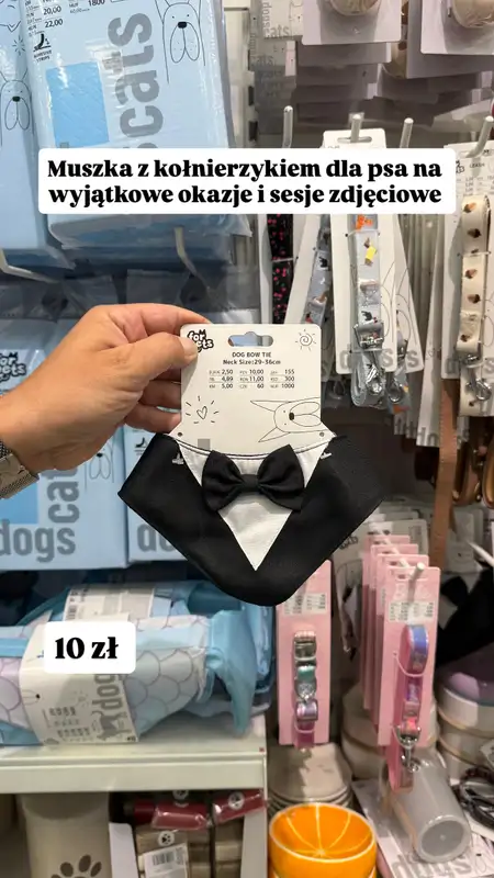 Pepco - gazetka promocyjna Zakupowe Inspiracje w Pepco od czwartku 16.07  - strona 7