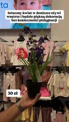 Pepco - gazetka promocyjna Zakupowe Inspiracje w Pepco od czwartku 16.07  - strona 5