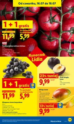 Lidl - gazetka promocyjna Oferta od czwartku od czwartku 16.07 do soboty 18.07 - strona 51
