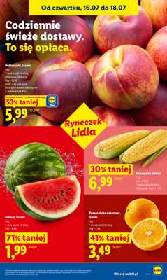 Lidl - gazetka promocyjna Oferta od czwartku od czwartku 16.07 do soboty 18.07 - strona 49
