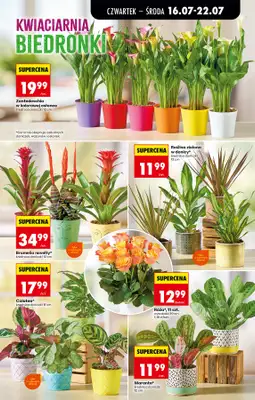 Biedronka - gazetka promocyjna Od czwartku, Z ladą tradycyjną od czwartku 16.07 do środy 22.07 - strona 75