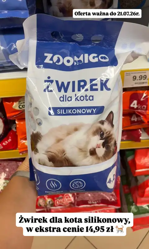 Dino - gazetka promocyjna Zakupowe inspiracje w Dino od soboty 18.07  - strona 13