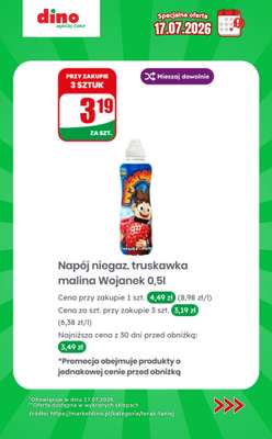 Dino - gazetka promocyjna Specjalna oferta na 17.07.2026 - promocje spoza gazetki od piątku 17.07 do piątku 17.07 - strona 10