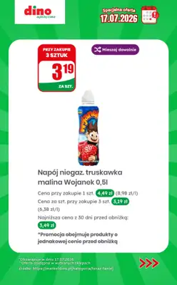 Dino - gazetka promocyjna Specjalna oferta na 17.07.2026 - promocje spoza gazetki od piątku 17.07 do piątku 17.07 - strona 10