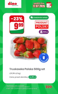 Dino - gazetka promocyjna Specjalna oferta na 17.07.2026 - promocje spoza gazetki od piątku 17.07 do piątku 17.07 - strona 2