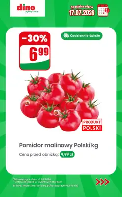 Dino - gazetka promocyjna Specjalna oferta na 17.07.2026 - promocje spoza gazetki od piątku 17.07 do piątku 17.07 - strona 4