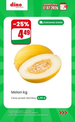 Dino - gazetka promocyjna Specjalna oferta na 17.07.2026 - promocje spoza gazetki od piątku 17.07 do piątku 17.07 - strona 11