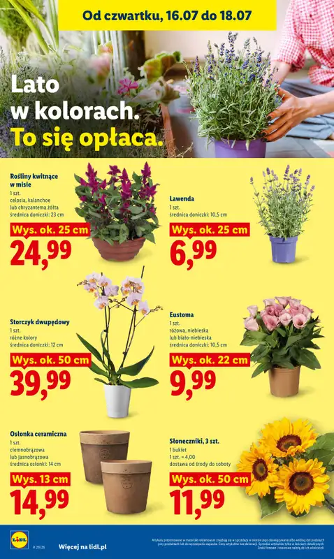 Lidl - gazetka promocyjna Oferta od czwartku od czwartku 16.07 do soboty 18.07 - strona 98